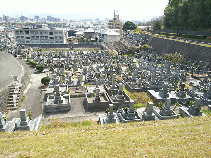 松山市営　客谷墓地の全体写真