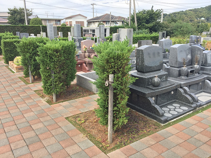 シーサイドメモリアルの全体写真