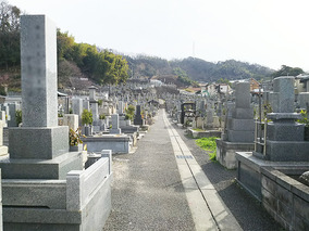 松山市営　天徳寺境外墓地の全体写真