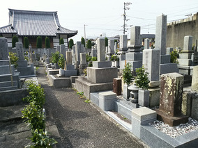 松山市営　天徳寺境外墓地の墓　通常区画全体