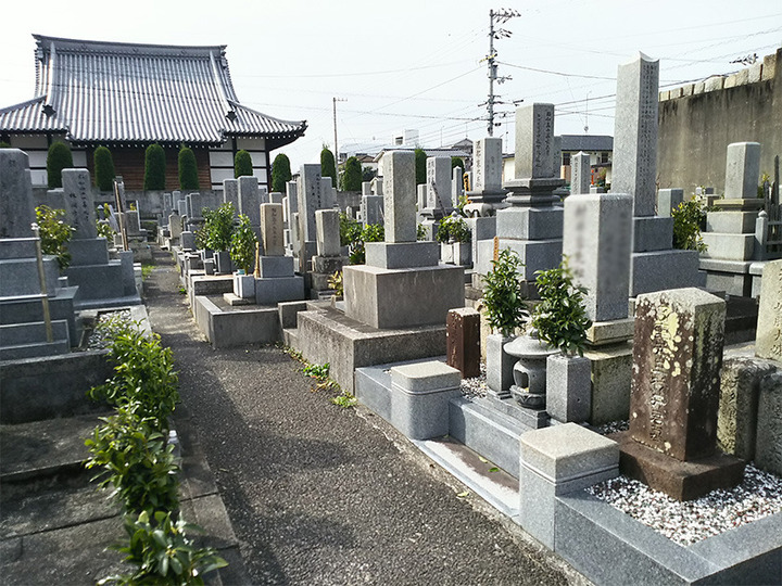 松山市営　天徳寺境外墓地の墓　通常区画全体