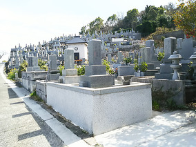 松山市営　宝塔寺境外墓地の全体写真