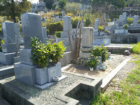 松山市営　宝塔寺境外墓地の墓　通常区画全体