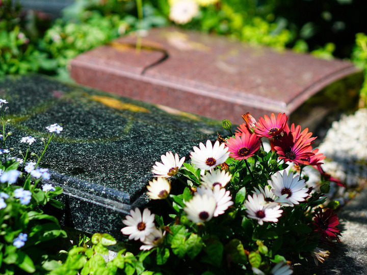 てんのうじ樹木葬庭苑墓地の樹木葬その他イメージ