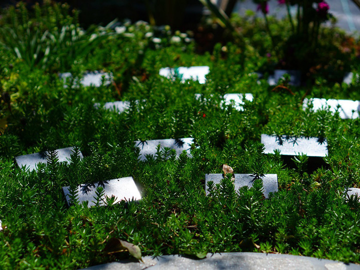 てんのうじ樹木葬庭苑墓地の樹木葬その他イメージ