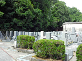 河内長野中央霊園の全体写真