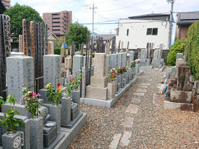 西福寺霊園の墓　通常区画全体