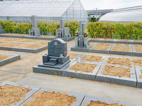 大塚霊園の墓　通常区画全体