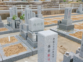 大塚霊園の墓その他イメージ