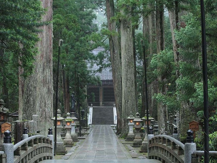 高野山奥之院清涼院墓所の永代供養 和歌山県伊都郡高野町の霊園 寺院 Ohako おはこ 納骨先 墓地 霊園探しなら