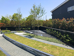 パークフォレスト大阪の樹木葬　区画全体