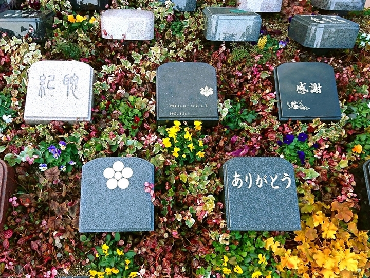 京都霊源皇寺墓苑の樹木葬その他イメージ