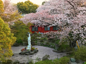 徳林寺　永代供養墓のその他イメージ