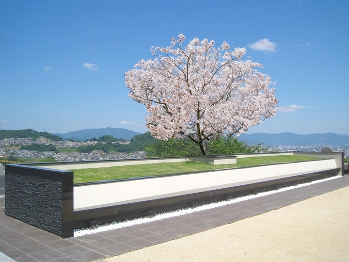 広島平和霊園の樹木葬　区画全体