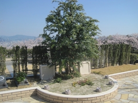 広島平和霊園の樹木葬その他イメージ