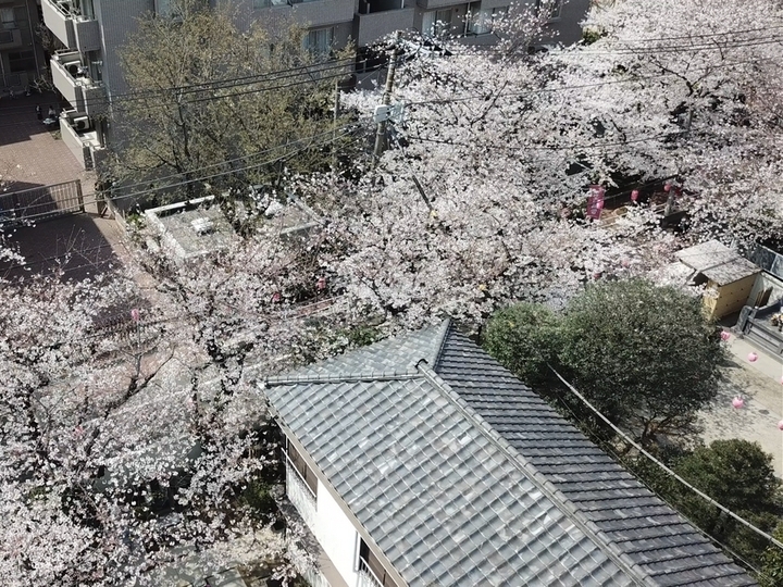 サクラテラスそめいのその他イメージ