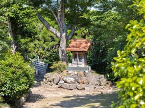 吉祥寺境内墓地　「桜墓苑」の全体写真