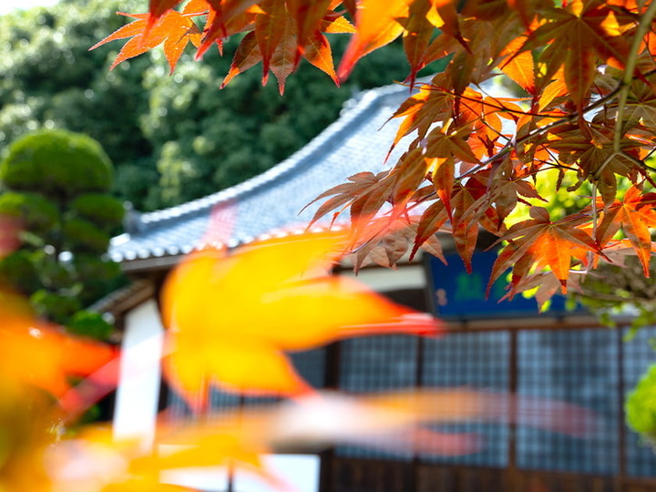 吉祥寺境内墓地　「桜墓苑」のその他イメージ
