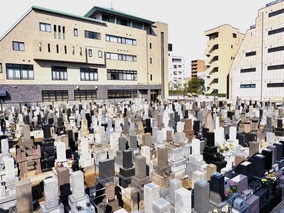 寂圓寺の墓その他イメージ