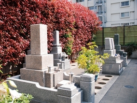 長嚴寺墓苑の墓　通常区画全体