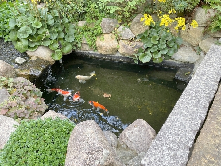 光明寺のその他イメージ