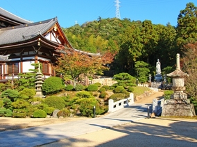 円珠院墓地のその他イメージ
