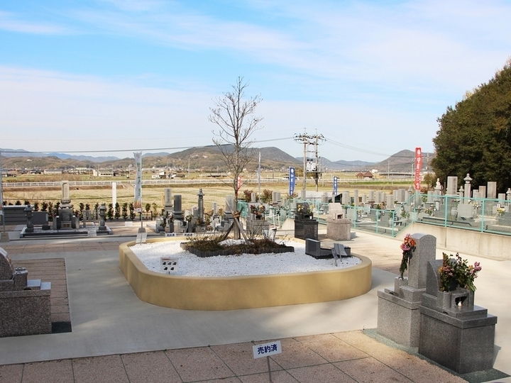 不動清浄霊園の樹木葬　区画全体