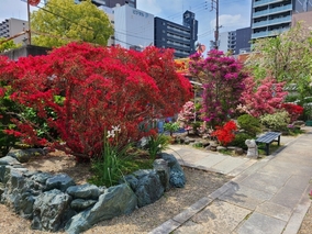 淨國寺のその他イメージ