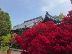 淨國寺のその他イメージ