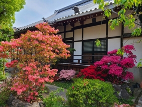 淨國寺のその他イメージ