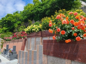 淨國寺のその他イメージ