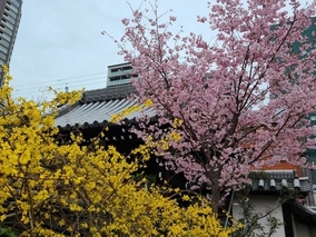 淨國寺のその他イメージ