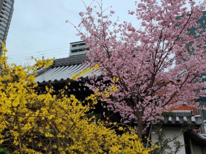 淨國寺のその他イメージ