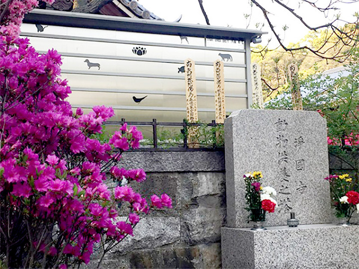 淨國寺の樹木葬その他イメージ