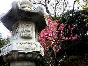 淨國寺の樹木葬その他イメージ