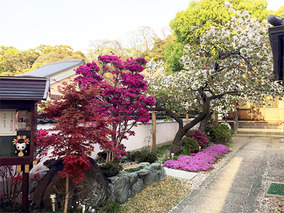 淨國寺の樹木葬その他イメージ