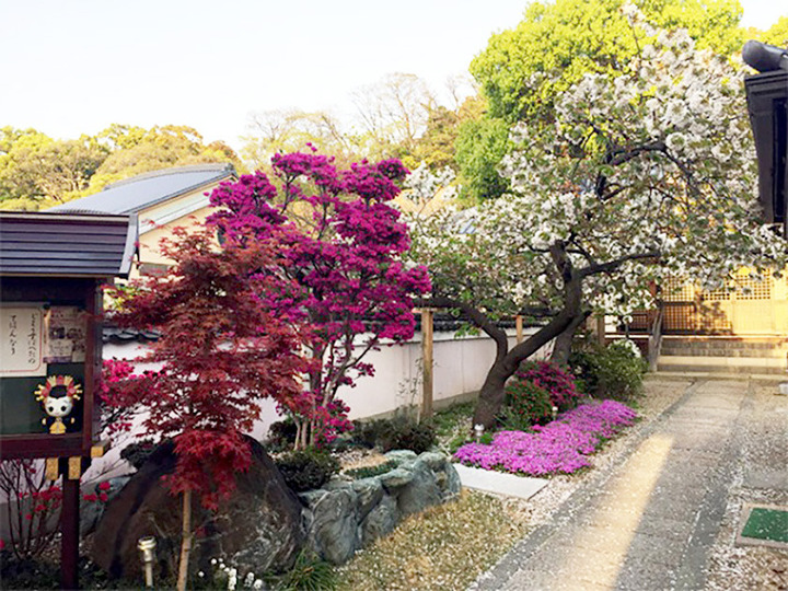 淨國寺の樹木葬その他イメージ