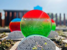 秋川霊園の樹木葬その他イメージ