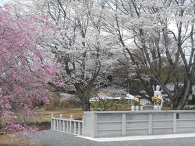 正光寺 日向霊園のその他イメージ