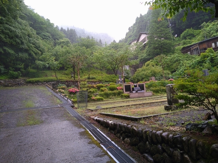 やすらぎ墓苑の樹木葬　区画全体