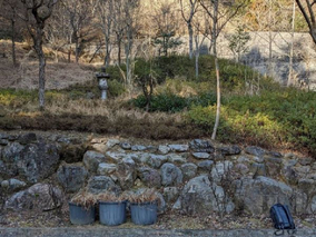 やすらぎ墓苑の樹木葬プレート