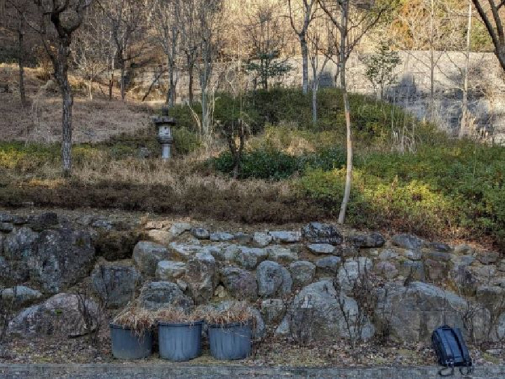 やすらぎ墓苑の樹木葬プレート