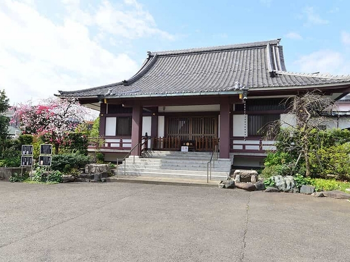 樹王山 光照寺の外観