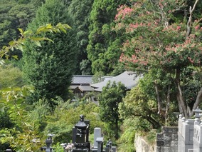 童楽寺　永代供養墓の外観