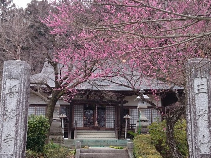 普濟寺墓地の外観