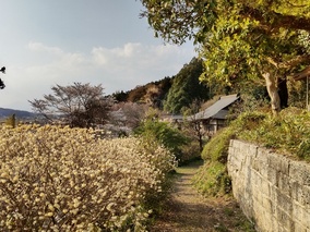 普濟寺墓地の入り口