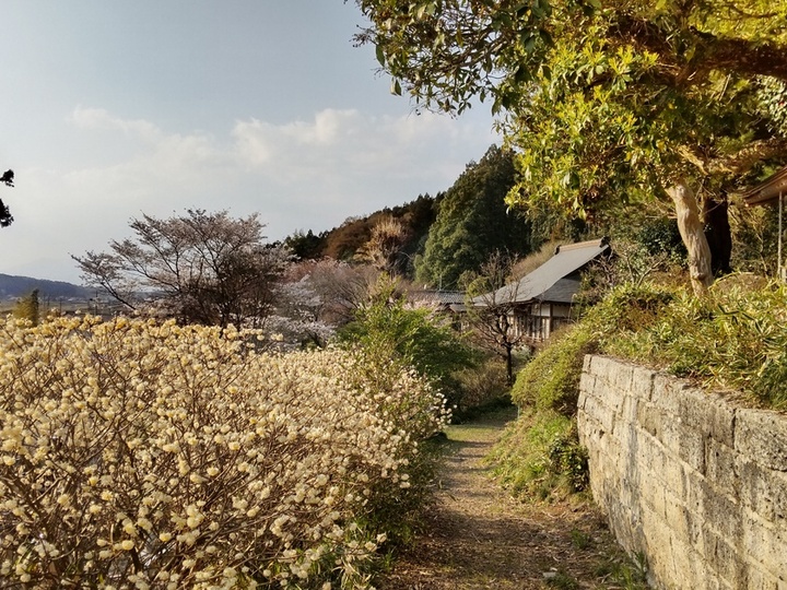 普濟寺墓地の入り口
