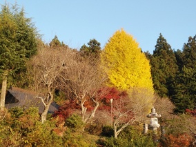 普濟寺墓地の本堂