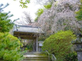かまくら樹陵 松葉ヶ谷の杜のその他イメージ