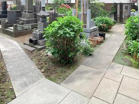 新宿 しあわせ薬師墓苑の区画図